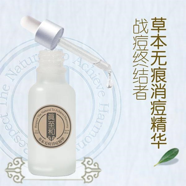 真至和 真至和