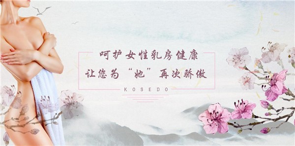 护胸卫队