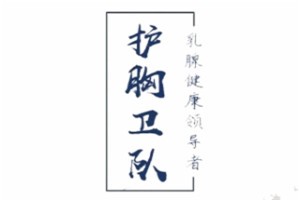 护胸卫队品牌logo