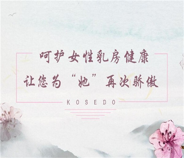 护胸卫队