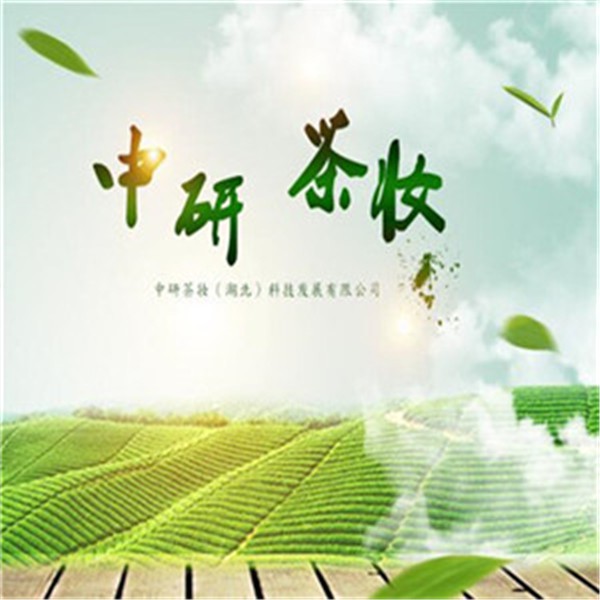 中研茶妆 中研茶妆