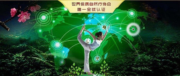 体之道 体之道