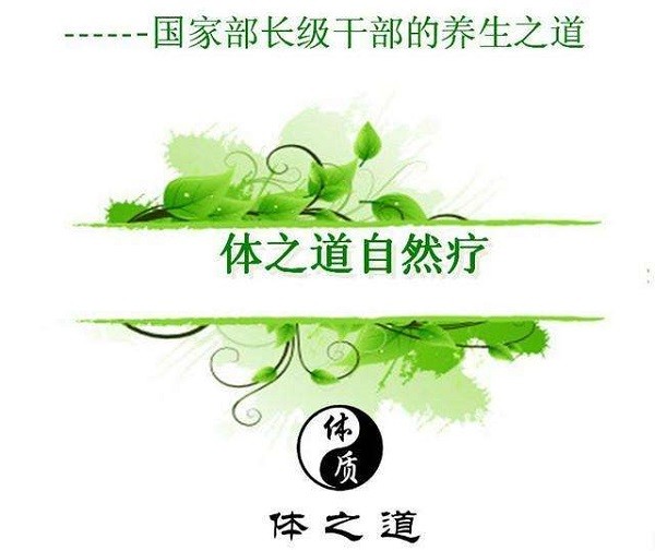 体之道 体之道