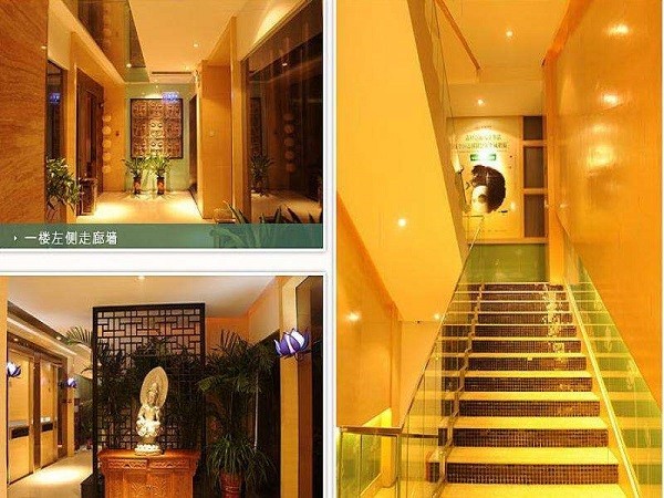 卓逸 卓逸