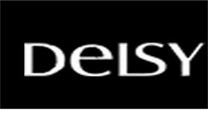 迪尔斯品牌logo