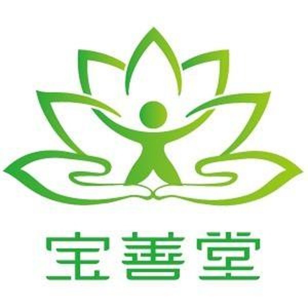 宝善堂小儿推拿品牌logo