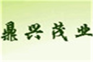 鼎兴茂业化妆品品牌logo