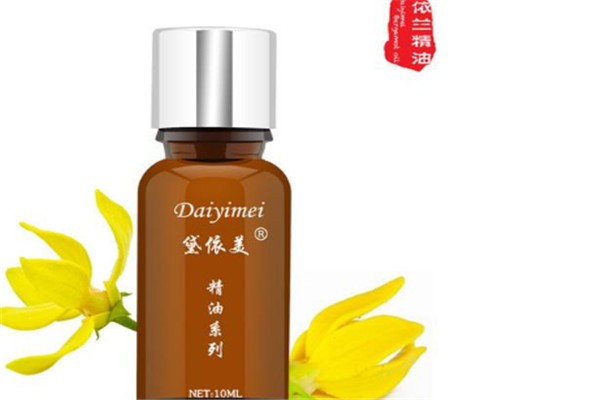黛依美化妆品