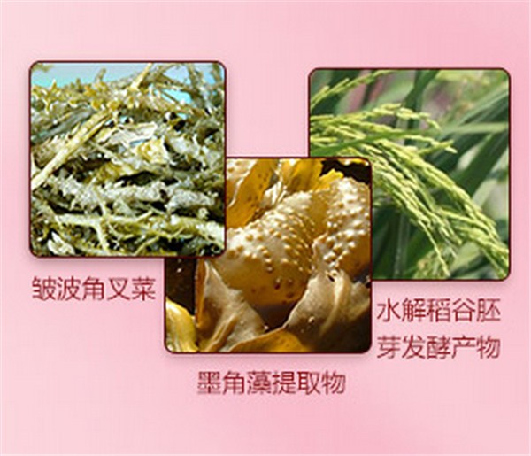 康嘉利化妆品 康嘉利化妆品