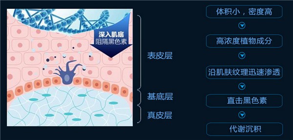 康嘉利化妆品 康嘉利化妆品