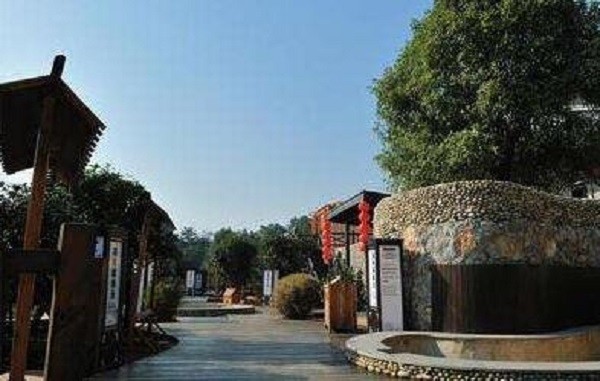 驱风碱养生店