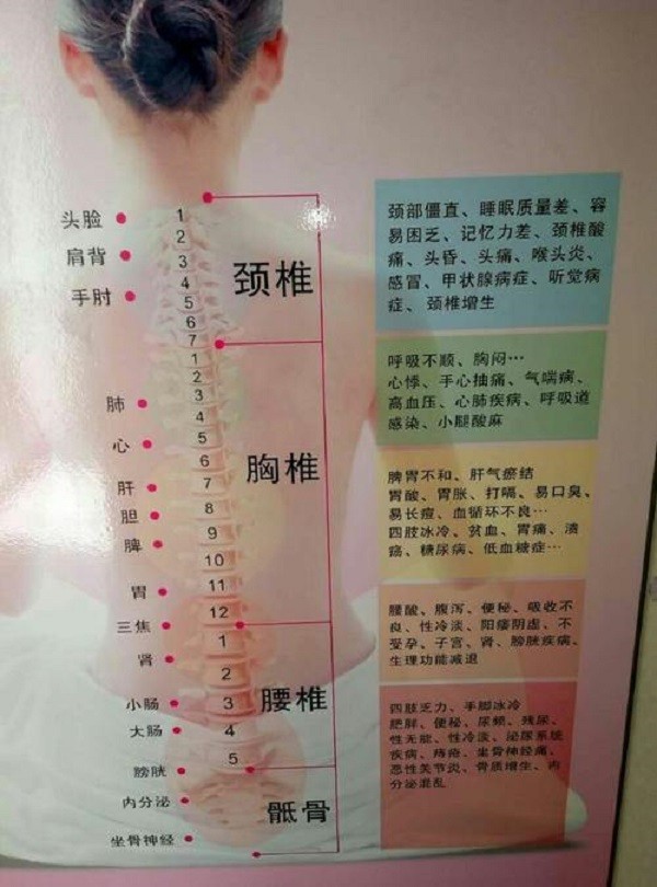 许氏筋骨养生
