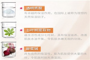 蕾施梦化妆品