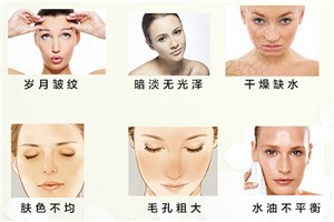 蕾施梦化妆品