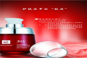 诗婉化妆品