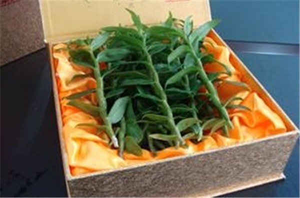 久丽康源 久丽康源