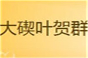 大碶叶贺群化妆品品牌logo