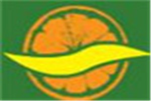 强强柠檬化妆品品牌logo