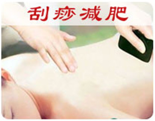 张氏减肥品牌logo