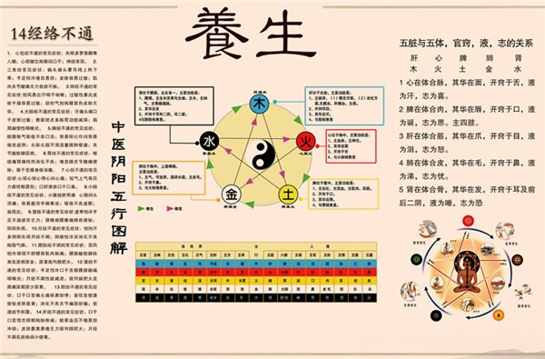 三国神医康善堂